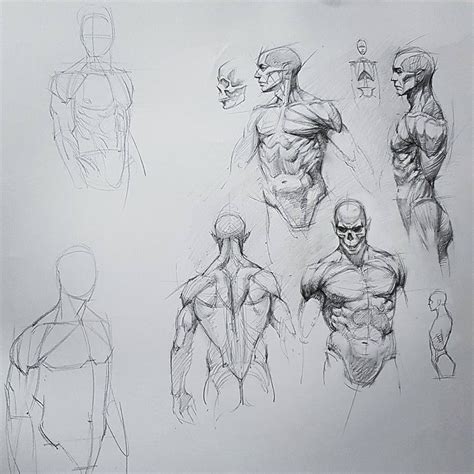 proko how to draw|proko figure drawing free.